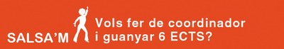 Beques de coodinadors del programa SALSA'M