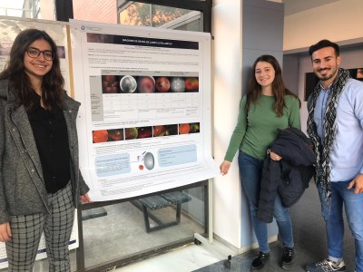 Exposició de pòsters sobre Técnicas de Imagen en Salud Visual