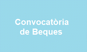 Nova convocatòria d'una beca d'estiu al CUV