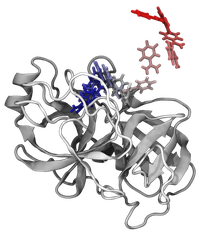 Joan Francesc Gilabert Navarro defensa la seva tesi sobre mètodes computacionals per al desenvolupament de fàrmacs