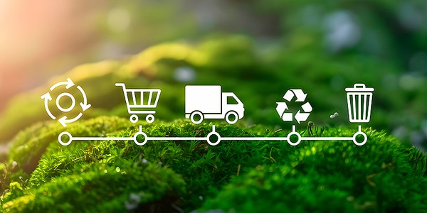 Especialitat Process Greening